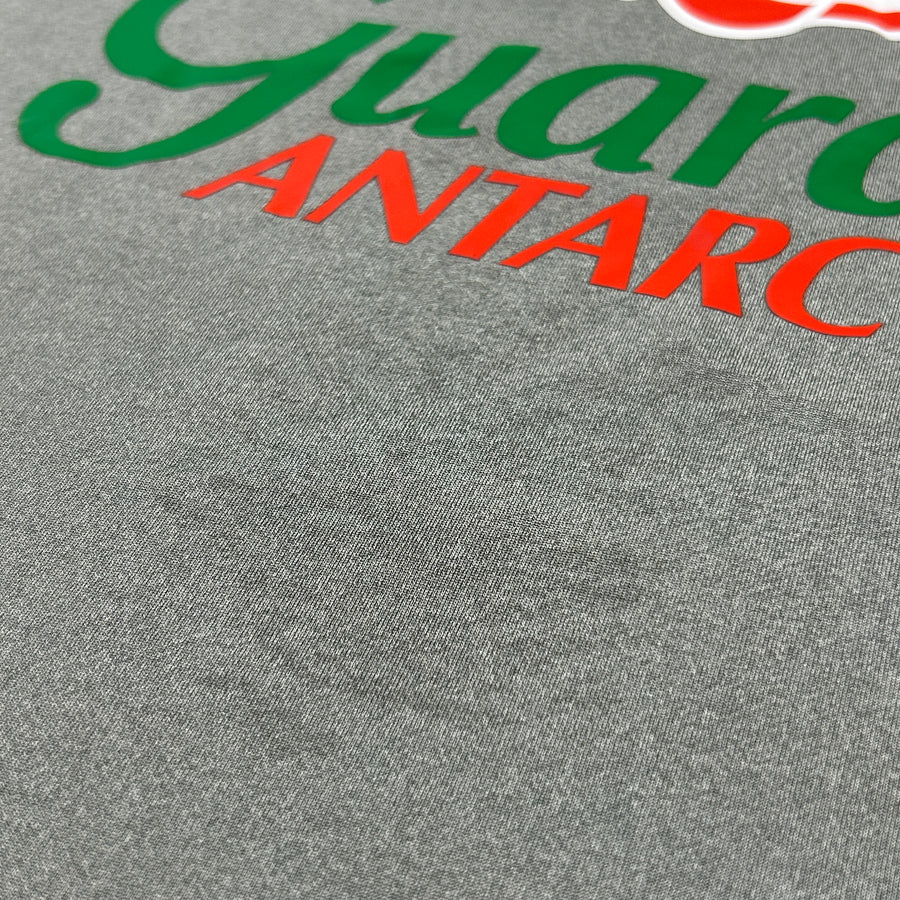 2014-15 Nike Brazil Guaraná Antarctica Training Shirt - Grey